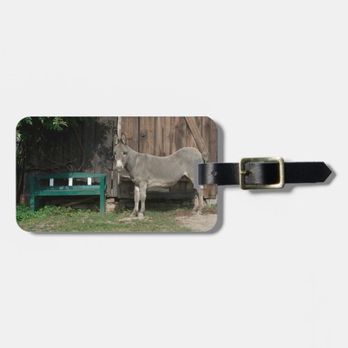 Adorable Donkey Next To Wooden Green Bench Luggage Tag