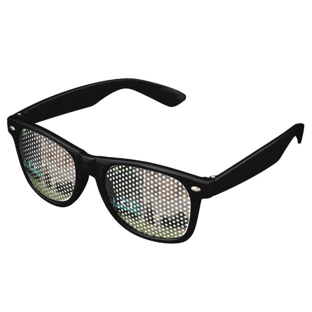 Adorable Donkey Next To Wooden Green Bench Retro Sunglasses (Angled)