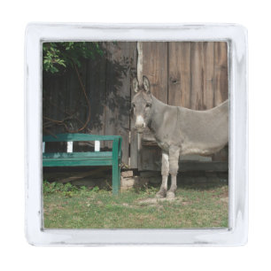 Adorable Donkey Next To Wooden Green Bench Silver Finish Lapel Pin
