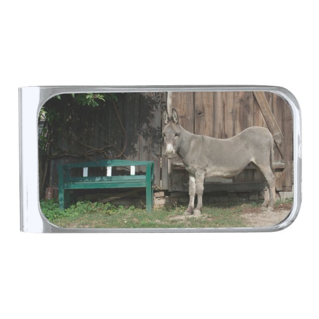 Adorable Donkey Next To Wooden Green Bench Silver Finish Money Clip (Front)