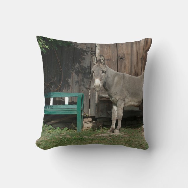 Adorable Donkey Next To Wooden Green Bench Throw Pillow (Front)