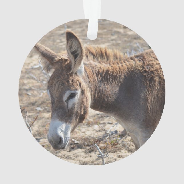 Adorable Donkey Ornament (Back)