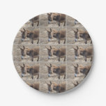 Adorable Donkey Paper Plates