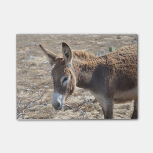 Adorable Donkey Post-it Notes