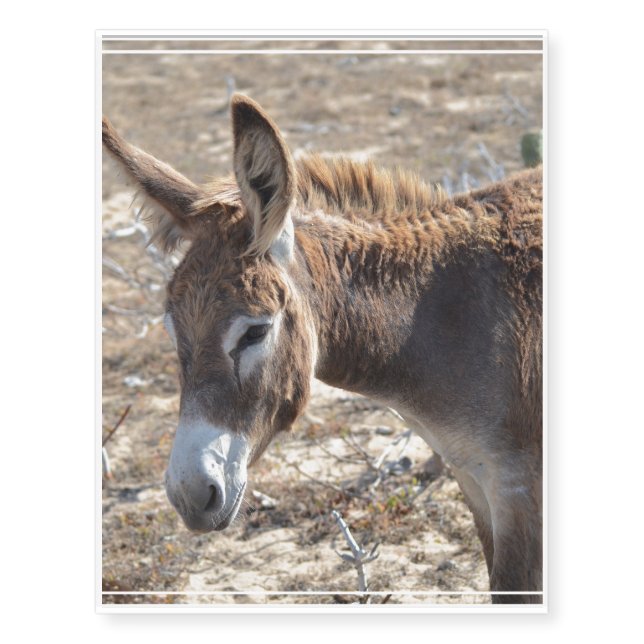 Adorable Donkey Temporary Tattoos (Front)