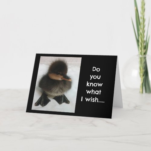 ADORABLE DUCKLING SAYS HAPPY BIRTHDAY CARD