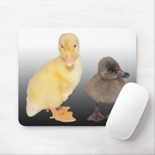 Adorable Ducklings Photograph Mouse Pad