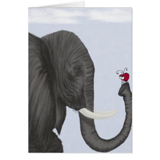 Adorable Elephant and Cute Ladybug Cards (Front)