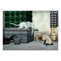 Adorable Elephant Cats