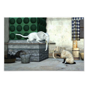 Adorable Elephant Cats Photo Print