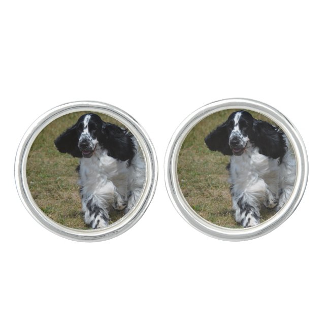Adorable English Cocker Spaniel Cufflinks (Front)