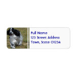 Adorable English Cocker Spaniel Label