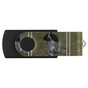 Adorable English Cocker Spaniel USB Flash Drive
