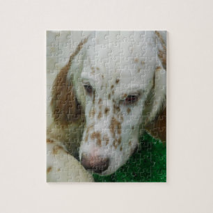 Adorable English Setter Jigsaw Puzzle