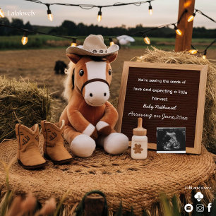 Adorable farm themed pregnancy announcement