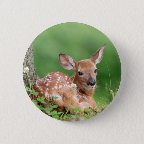 Adorable Fawn laying under a tree Button