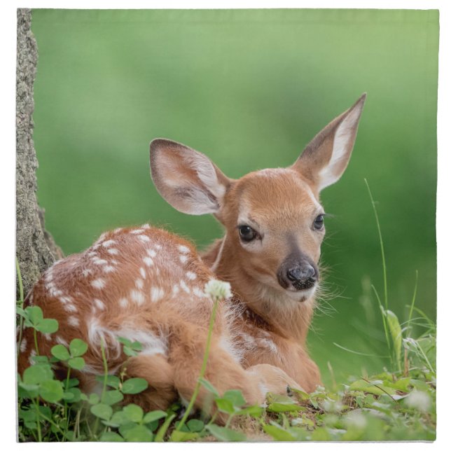 Adorable Fawn laying under a tree Cloth Napkin (Front)