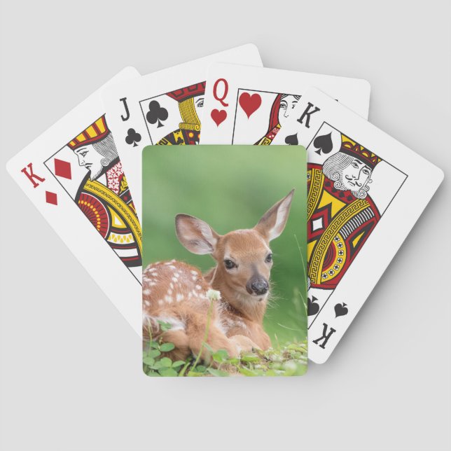 Adorable Fawn laying under a tree Poker Cards (Back)