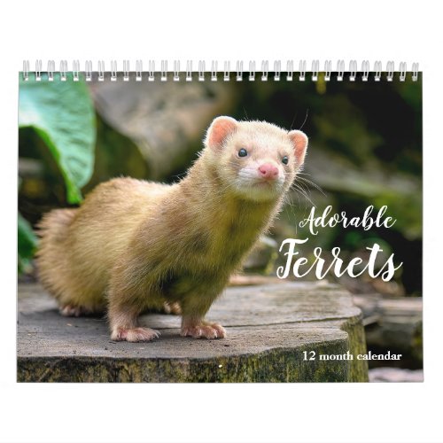 Adorable Ferrets 2024 Calendar