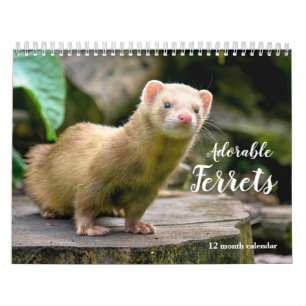 Adorable Ferrets 2026 Calendar
