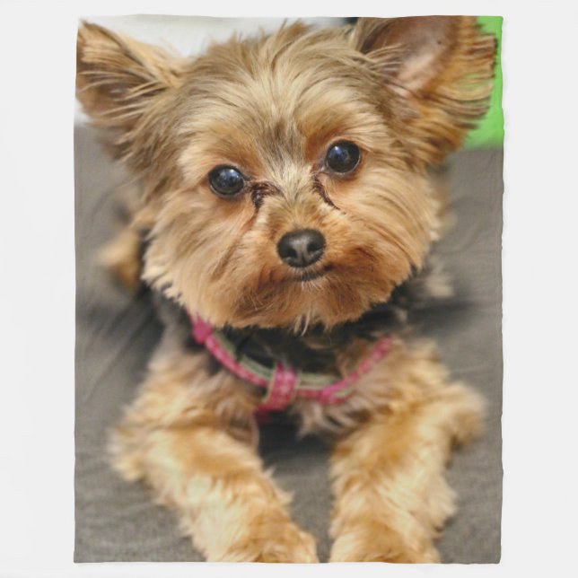 Adorable Fleece Blanket (Front)