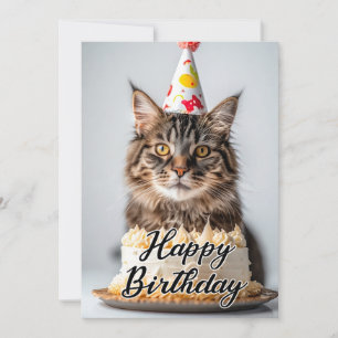 Adorable Fluffy Cat - Cat Lover  Birthday Cards