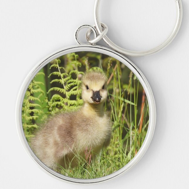 Adorable fluffy Gosling Keychain (Front)