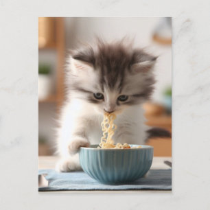 Adorable Fluffy  Kitten Eating Ramen Noodles Postcard