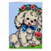 adorable fluffy white dog (Front)