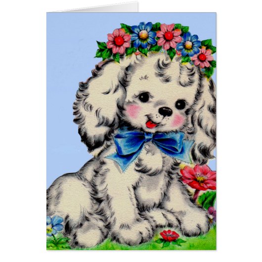 adorable fluffy white dog cards (Front)