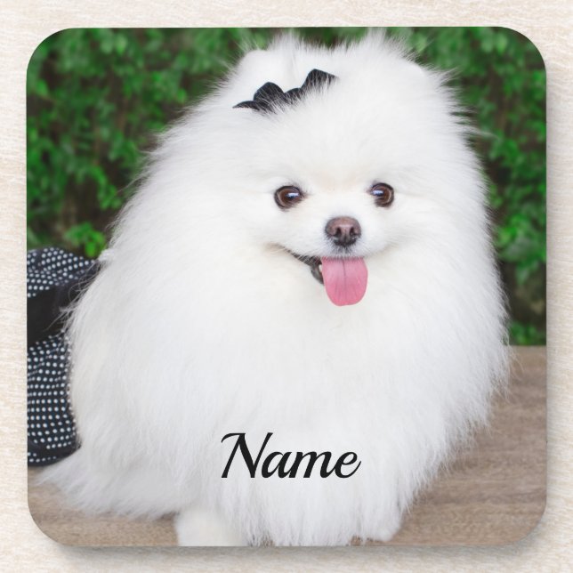 Adorable Fluffy White Puppy Dog Beverage Coaster (Front)