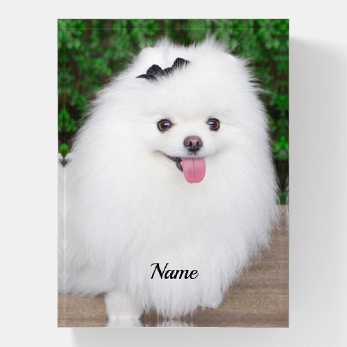 Adorable Fluffy White Puppy Dog Paperweight
