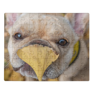 Adorable French Bulldog Jigsaw Puzzle