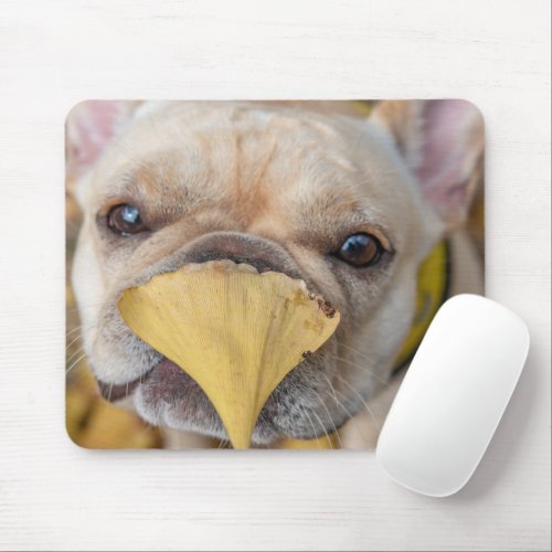 Adorable French Bulldog Mouse Pad