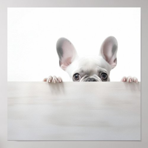 adorable french bulldog photography print