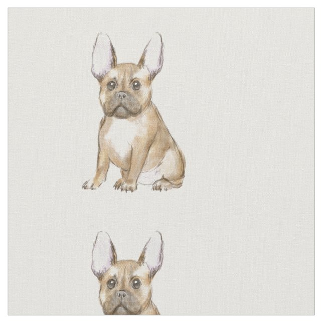 Adorable french bulldog puppy fabric (Close Up)