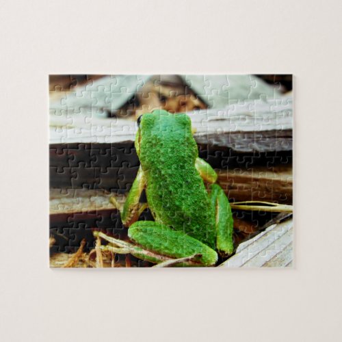 Adorable Frog Puzzle