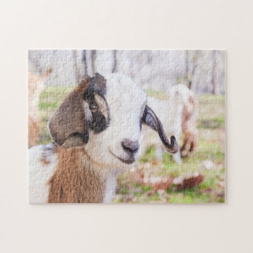 Adorable  Fun Baby Goat Animal Jigsaw Puzzle