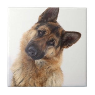 Adorable funny german shepherd portrait ceramic tile