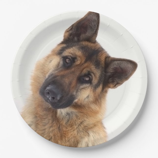 Adorable funny german shepherd portrait paper plates (Front)