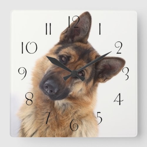 Adorable funny german shepherd portrait square wall clock