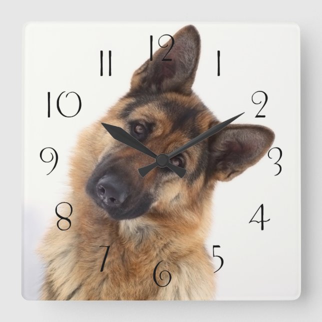Adorable funny german shepherd portrait square wall clock (Front)
