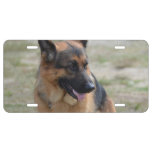 Adorable German Shepherd License Plate