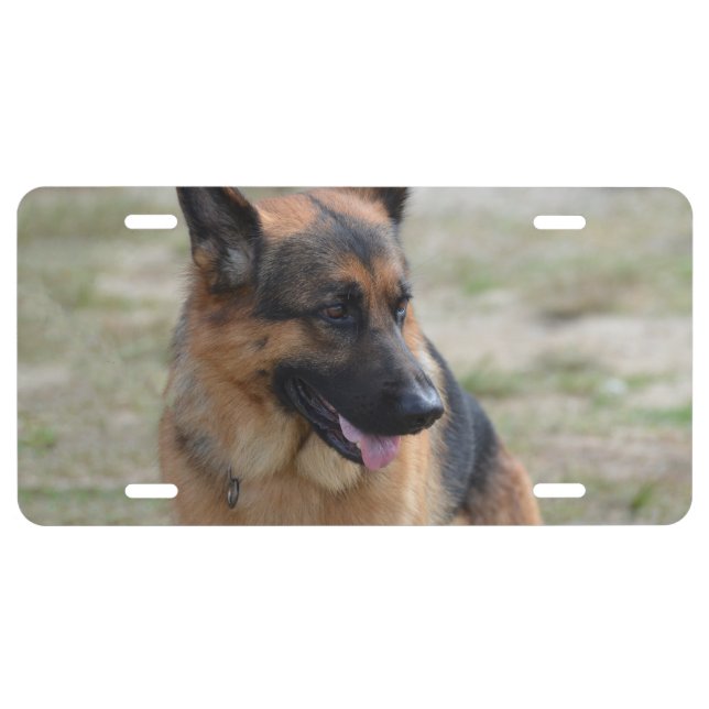 Adorable German Shepherd License Plate (Front)