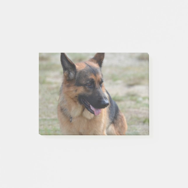 Adorable German Shepherd Post-it Notes (Front)