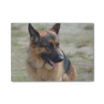 Adorable German Shepherd Post-it Notes