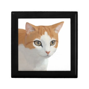 Adorable Ginger Cat Art Gift Box