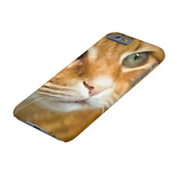 Adorable Ginger Tabby Cat Posing Pet Portrait Barely There iPhone 6 Case