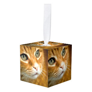 Adorable Ginger Tabby Cat Posing Pet Portrait Cube Ornament