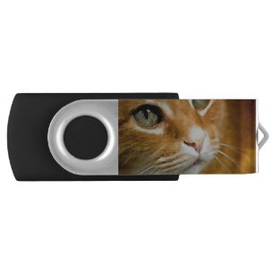 Adorable Ginger Tabby Cat Posing Pet Portrait Flash Drive